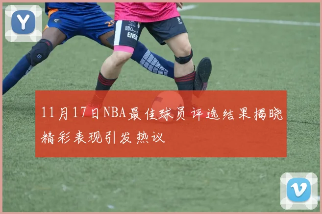 11月17日NBA最佳球员评选结果揭晓精彩表现引发热议