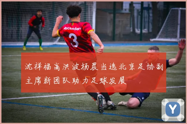 沈祥福高洪波杨晨当选北京足协副主席新团队助力足球发展